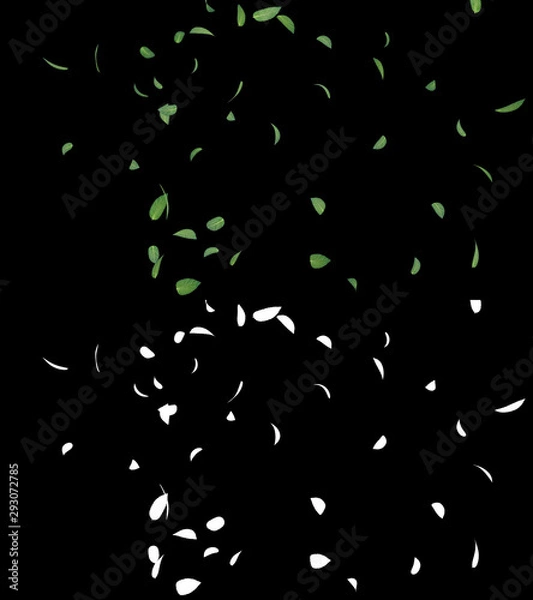Fototapeta 3D illustration of a mint leaves flow with alpha layer