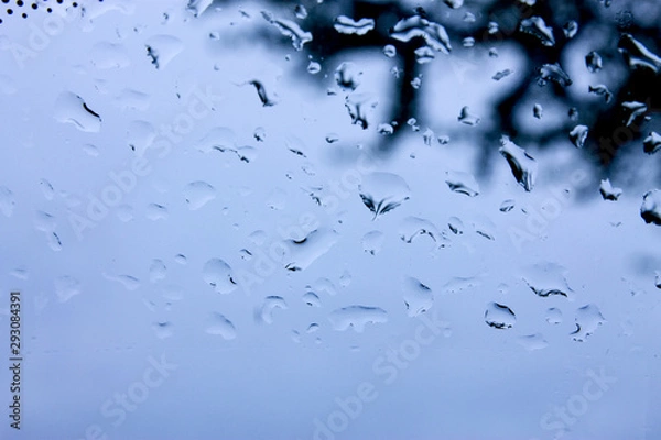 Fototapeta Raindrops on the windshield
