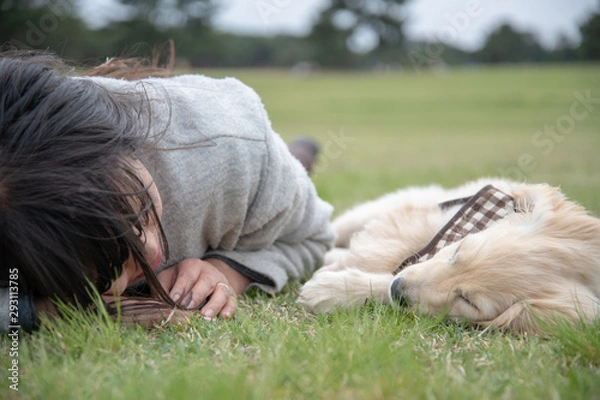 Fototapeta ひたち海浜公園_ゴールデンレトニエル