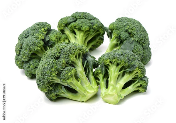 Fototapeta Broccoli vegetable on white background 