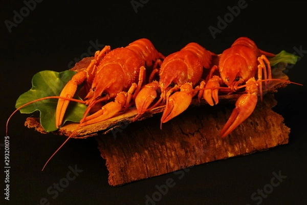 Fototapeta Tasty delicious boiled river crayfish on stylized original plate of bark on black background. Concept - food, gourmet, restaurant, table setting, cafe, natural products, delicacies.