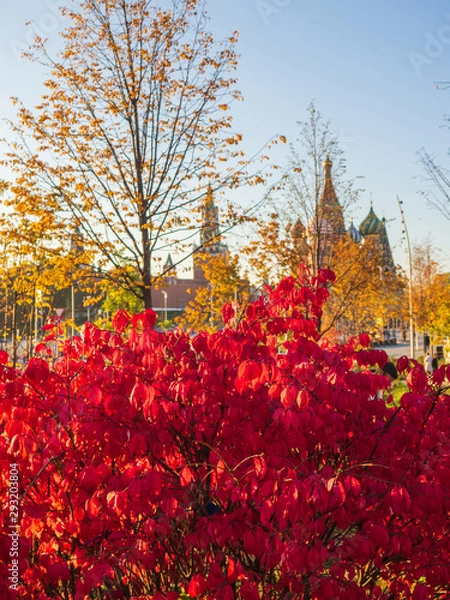 Fototapeta Beautiful view of Zaryadye landscape park with the steeples of the Kremlin and the St Basil`s Cathedral in the background on a sunny autumn evening.