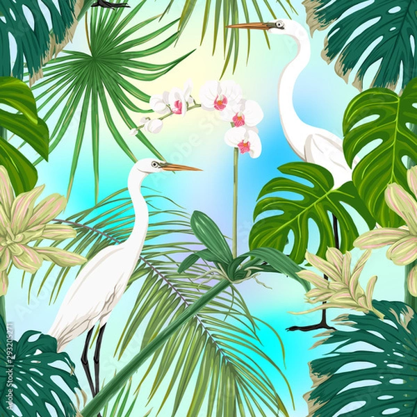 Fototapeta Seamless pattern, background. with tropical plants