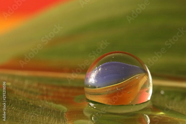 Obraz Murmel im Wasser