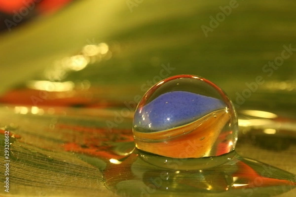 Obraz Murmel im Wasser