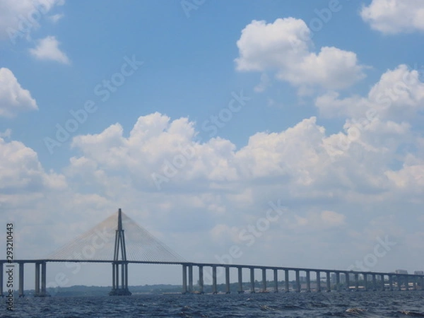 Obraz Bridge in manaus