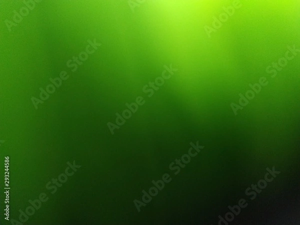 Obraz light olive green background