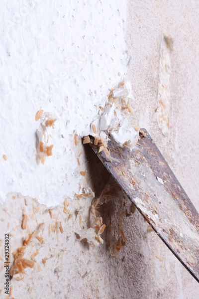 Fototapeta Tapete entfernen