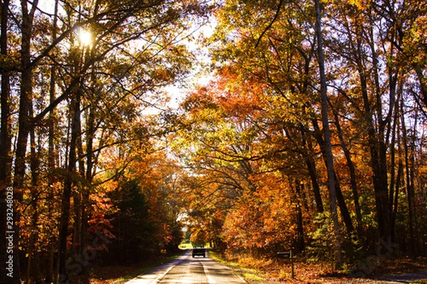 Obraz Our Small Piece of the World