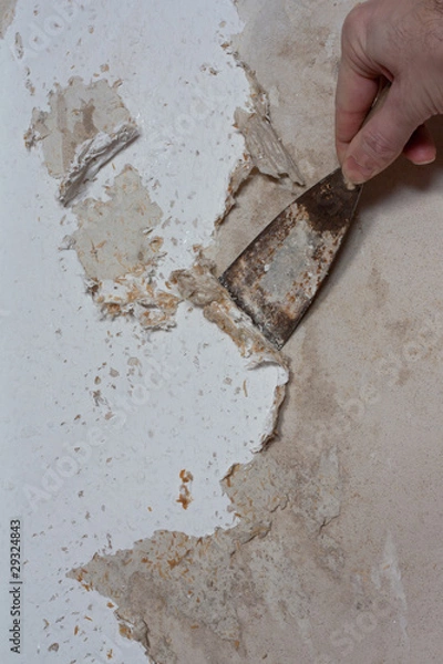 Fototapeta renovieren