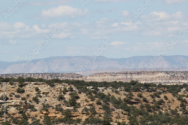Obraz Grand Canyon North Rim