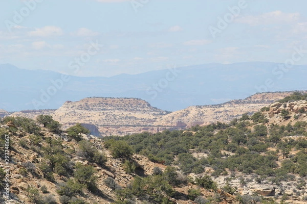 Obraz Grand Canyon North Rim