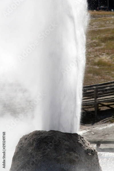 Obraz BeeHive Geyser