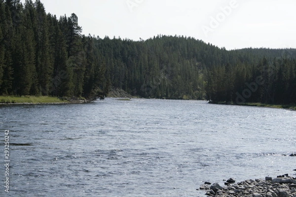 Obraz Yellowstone River