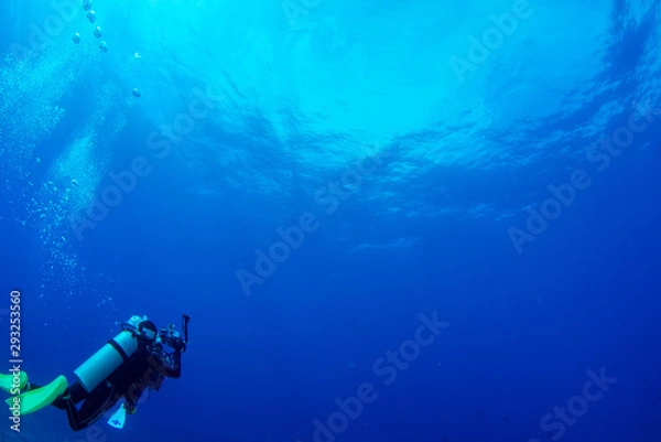 Fototapeta パラオ_ペリリュー_スキューバダイビング