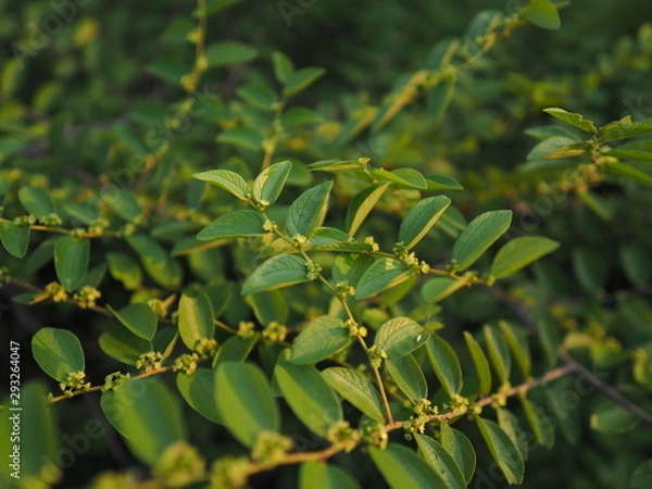 Obraz OLYMPUS DIGITAL CAMERA