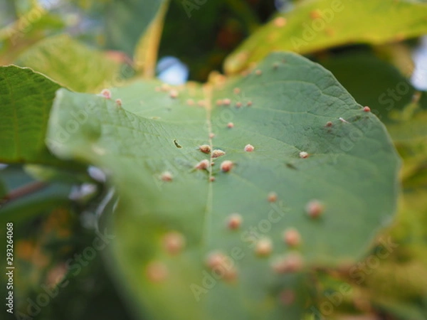 Obraz OLYMPUS DIGITAL CAMERA