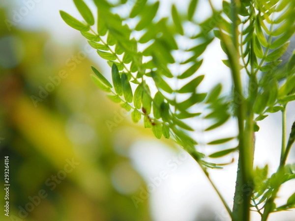 Obraz OLYMPUS DIGITAL CAMERA