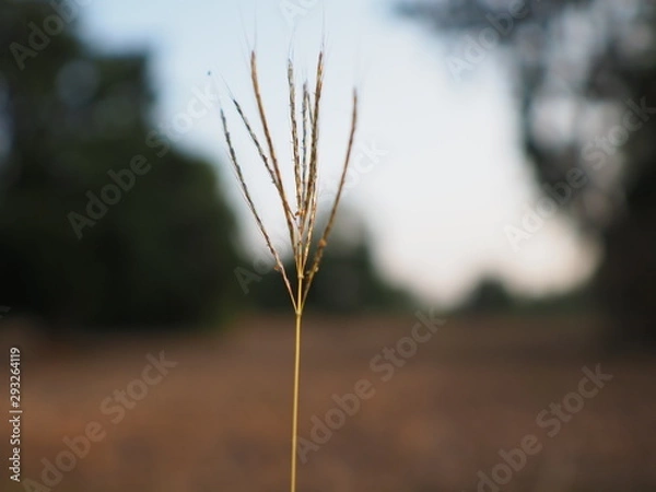 Obraz OLYMPUS DIGITAL CAMERA