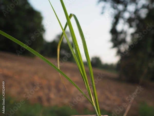 Obraz OLYMPUS DIGITAL CAMERA