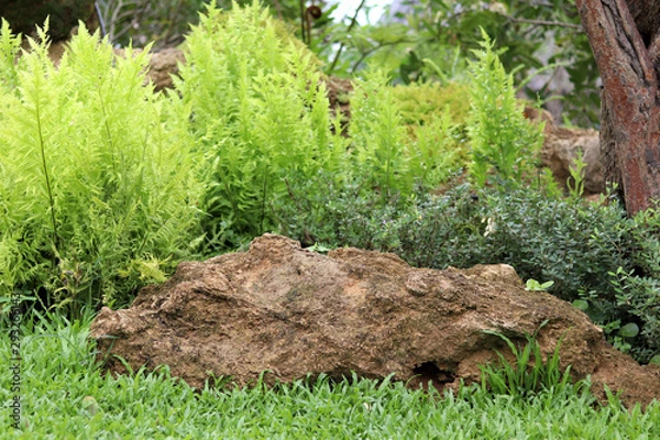 Fototapeta Large stone in a garden placed on a green grass.