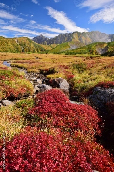 Obraz Autumn colors in Tateyama alpine, Toyama