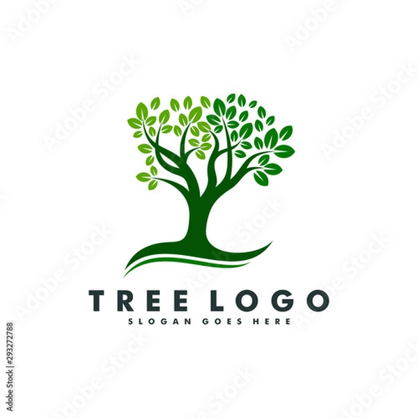 Fototapeta Tree Logo design, Forest icon vector