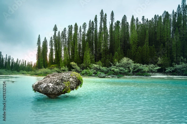 Fototapeta Sun light behind the beautiful pine forest close to sunset at the secluded Natural Pool, a shallow enclosed lagoon with crystal clear water at Isle of Pines, New Caledonia Archipelago, South Pacific.