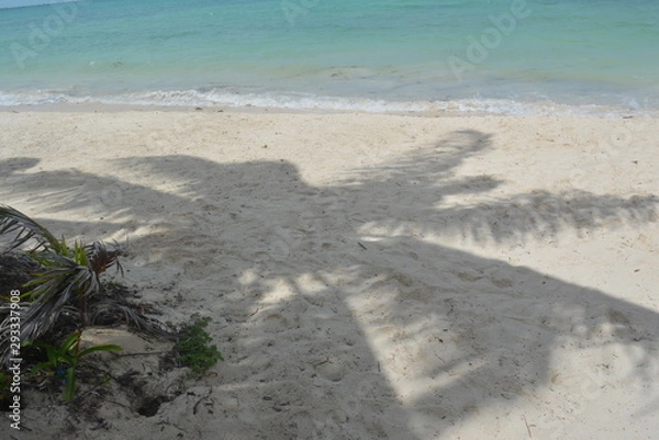 Obraz Beach Dream Paradise 