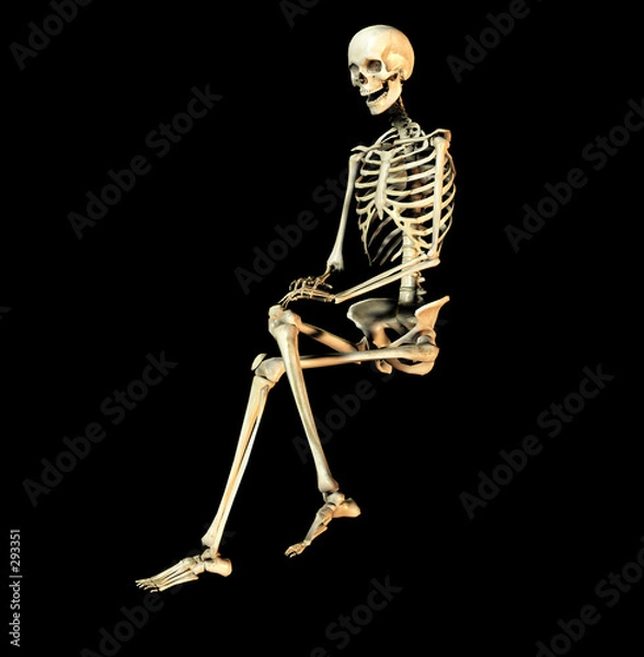 Fototapeta kość 30