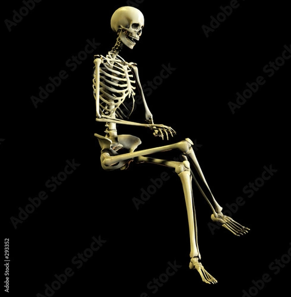 Obraz bone 40