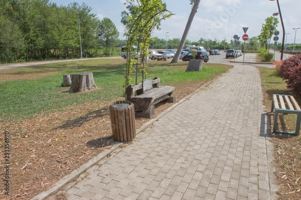 Fototapeta Scenic View of a Pathway and Wooden Bench in a Beautiful Leafy Landscape Garden
