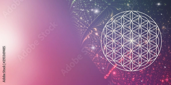 Obraz flower of life - spiritual cosmic light - background / banner 