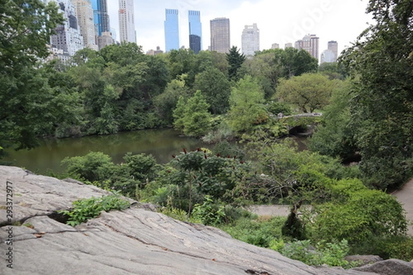 Fototapeta central park