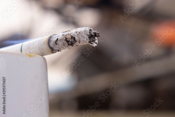 Fototapeta Macro view of burning cigarette with smoke.