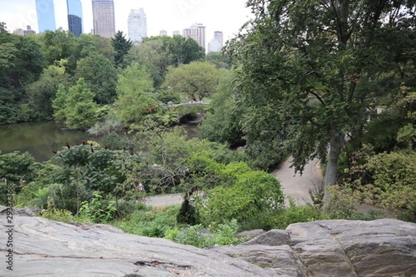 Fototapeta central park