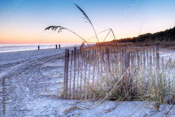 Obraz Taking Pictures