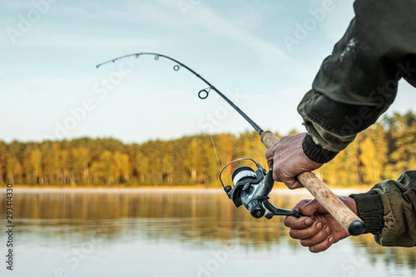 Fototapeta Hands of a man in a Urp plan hold a fishing rod, a fisherman catches fish at dawn. Fishing hobby vacation concept. Copy space.