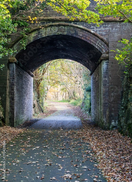 Fototapeta Path through arch bridge