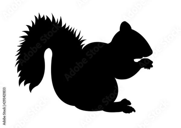 Obraz Squirrel black silhouette vector illustration
