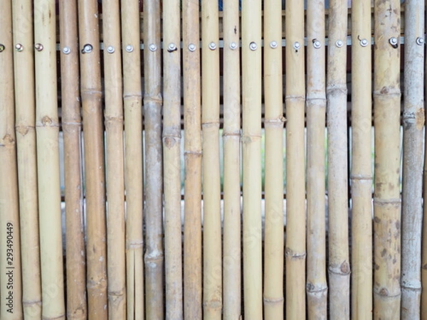 Obraz OLYMPUS DIGITAL CAMERA