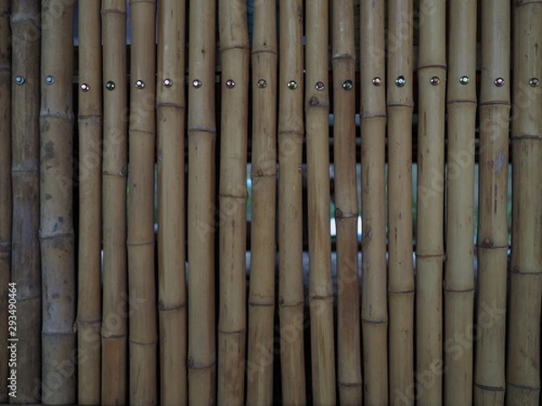 Obraz OLYMPUS DIGITAL CAMERA