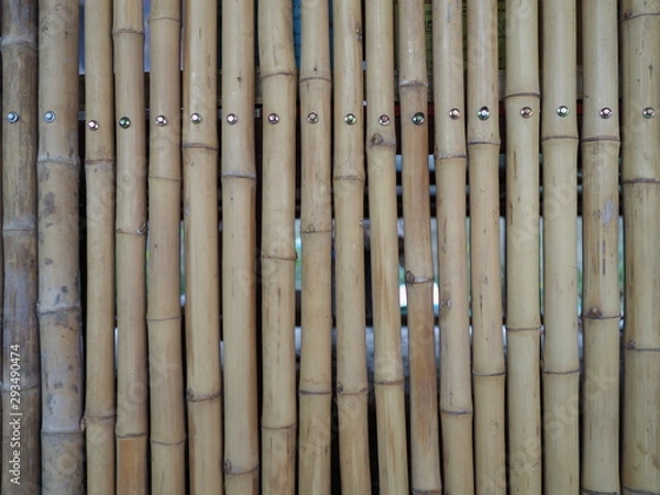 Obraz OLYMPUS DIGITAL CAMERA