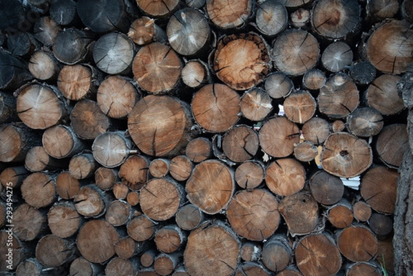 Obraz A stack of cut logs viewed from the end