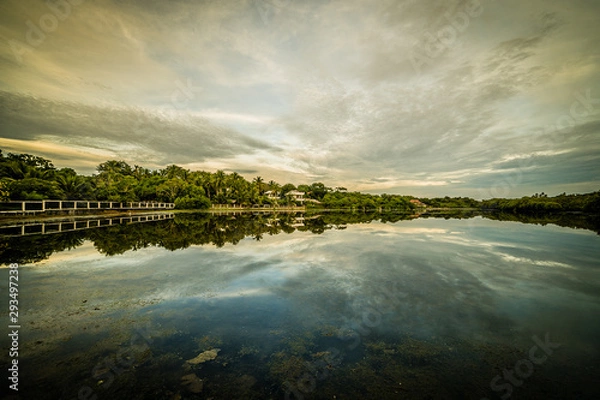 Obraz The perfect reflection