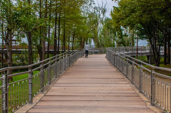 Fototapeta the back of a man walking on a wooden bridge in the park.