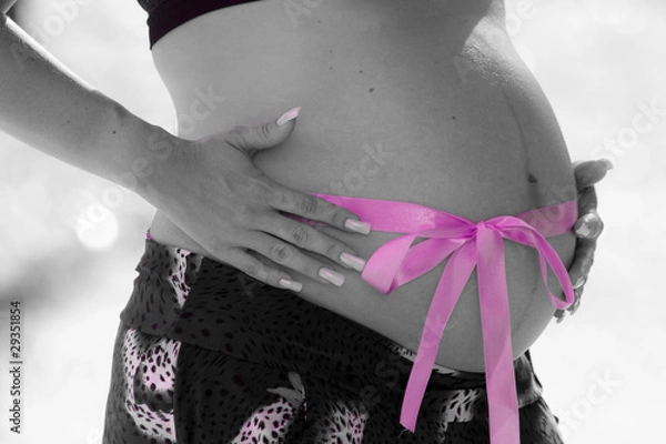 Obraz Human Pregnancy (Girl)