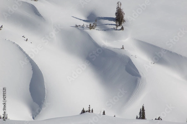 Fototapeta fresh snow