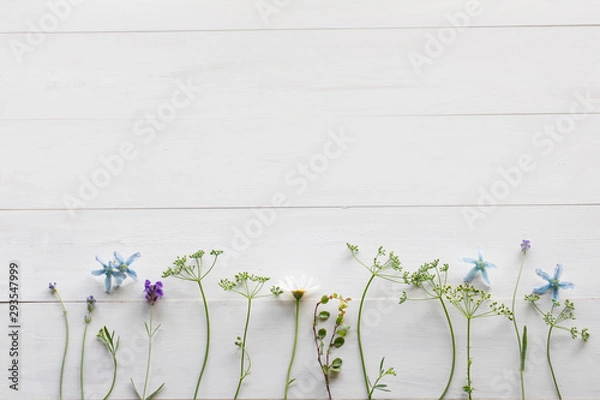 Obraz 草花のホワイトボード