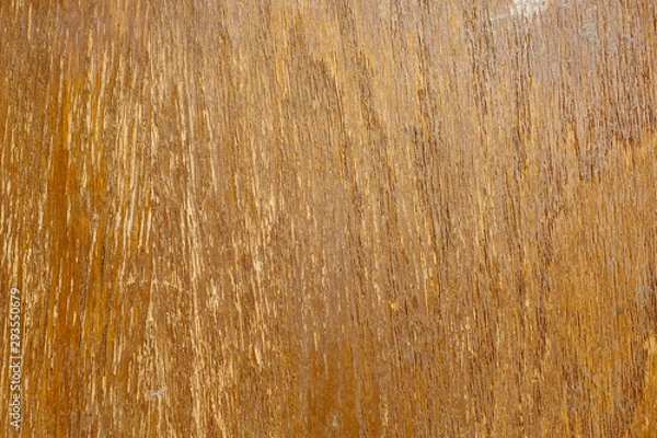 Obraz Shinny wood background